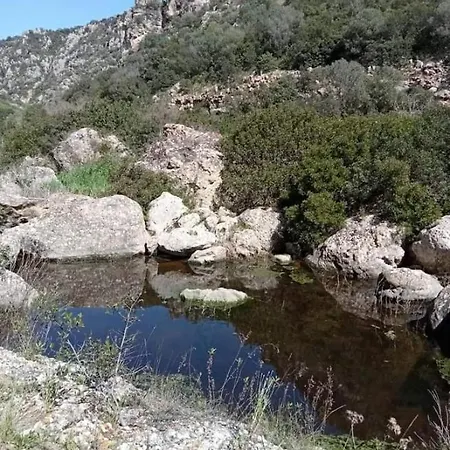 דירה L' Arche *