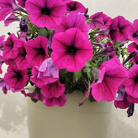 L' Archè * Castellaneta