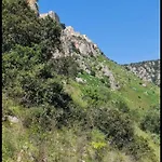 L' Arche