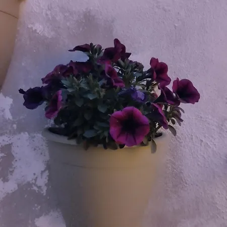 L' Arche شقة كاستلانيتا