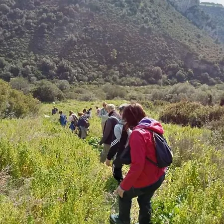 L' Arche * Castellaneta