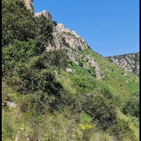 L' Archè