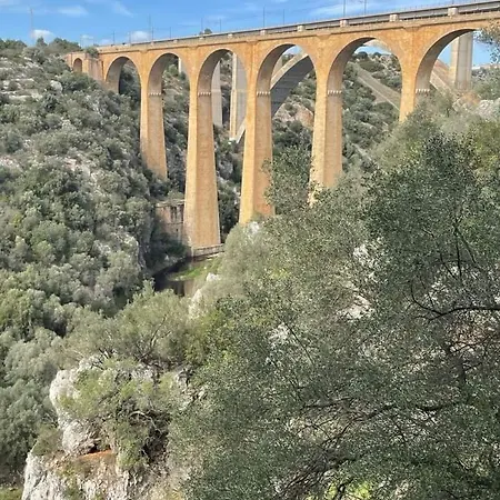 L' Arche