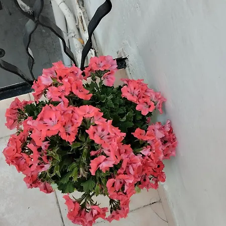 L' Arche شقة كاستلانيتا