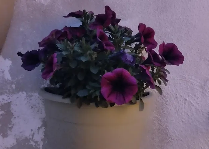 L' Arche Apartment Castellaneta