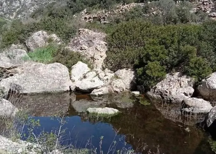 Appartement L' Arche *